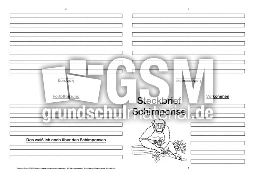 Schimpanse-Faltbuch-vierseitig-2.pdf